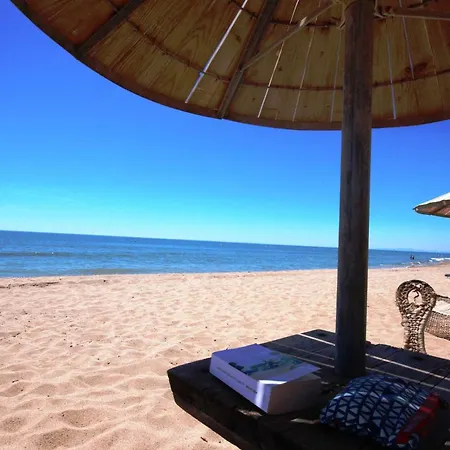 Belle De Vacances, Tamaris, Wifi, 2 Climatisees, 4 Couchages Acces Payant Pour Les Piscines Lrtama45 Villa *